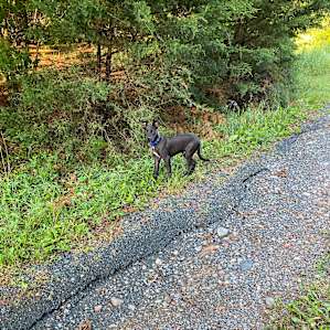 Hiking down to the river