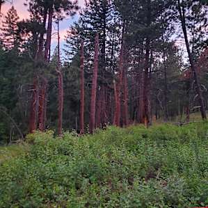 sunset at campsite