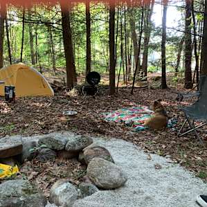 Someday Farm and Forest Camping