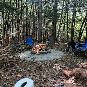 Someday Farm and Forest Camping