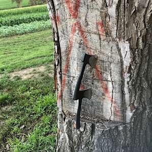 Axe throwing