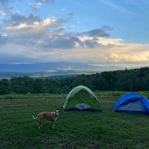Green mtn primitive