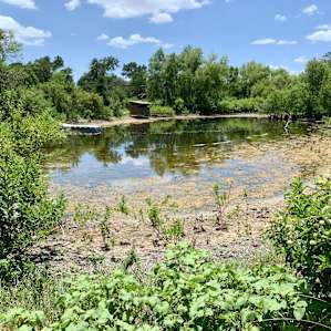 Texan Safari Glamping