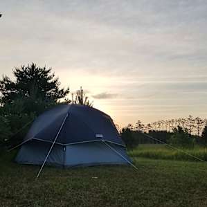 Pine Meadows