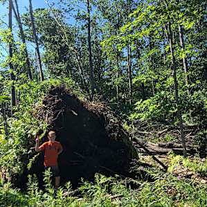 My son with one of the downed trees on the property