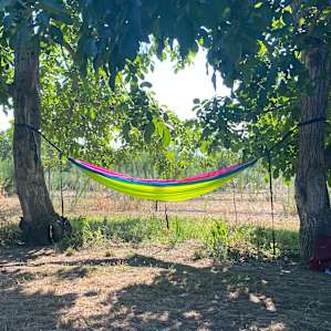 Great place for your hammock