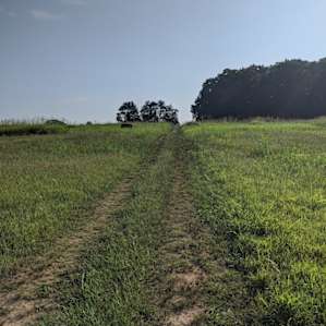 Camping at Pea Ridge