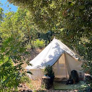 The Blue Bell Dream Tent 😍