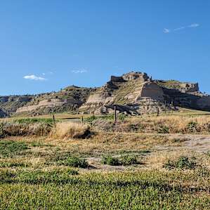 Rose Hill's Primitive Prairie