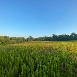 Murchison Farm Where nature Rules!