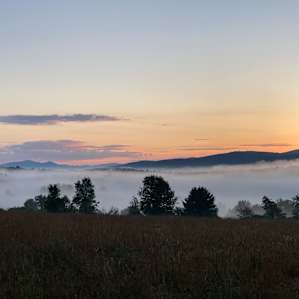 5am sunrise in July. View from the tent.