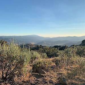 The view to the west