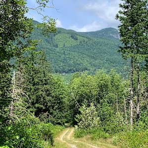 Baker Lake Downhill
