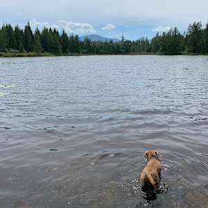 Baker Lake Downhill