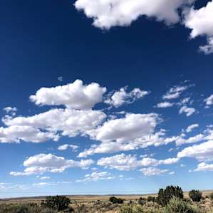Star Gazer Ranch