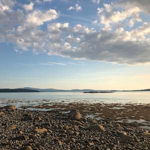 Stunning Schoodic Beachfront Woods