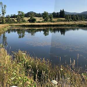 Camp by the pond