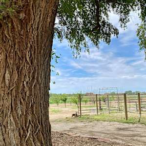 Fruit Orchard and Hemp Farming