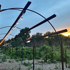 Fruit Orchard