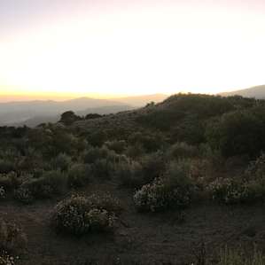Full 180 degree views