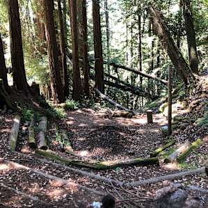 The amphitheater provided hours of entertainment