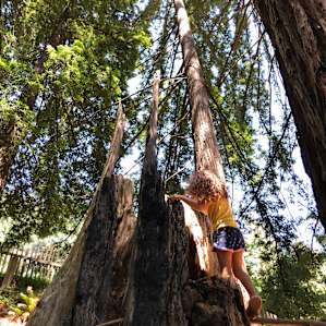 So much to climb!