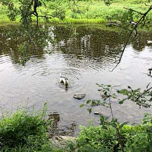 Riverside Acres