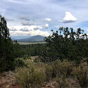 Grand Canyon Glamping Eco-Yurt #2