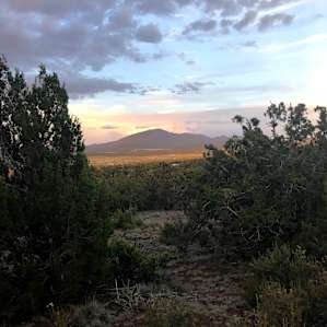 The view from Yurt #2 includes this perfect mountain view through the trees. Magical.