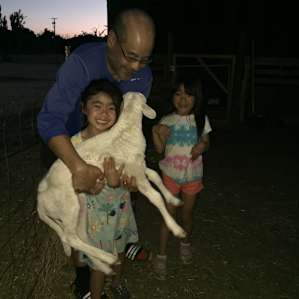 They allowed us to hold one of the lambs.