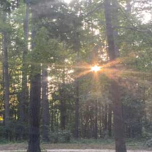 Sandy Pines Campgrounds