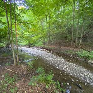 Private stream all to yourselves.