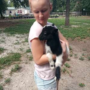 Goat House Farm Glamping