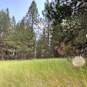 Beautiful property!