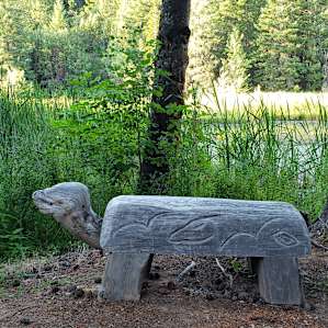 Private Meadow Dry RV n/Crater Lake