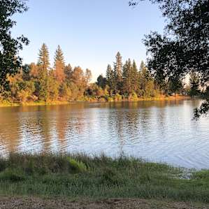 Waterfront at Finnon Lake -A9
