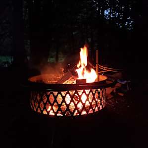 Fire pit provided with wood!