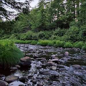 Looking up the river