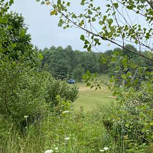 Gorgeous and expansive property