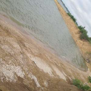 Lakefront Paradise Tent Site