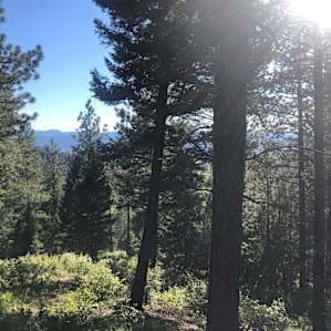 The views