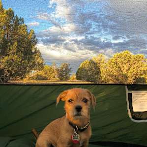 Antelope Run Rewilding Camp