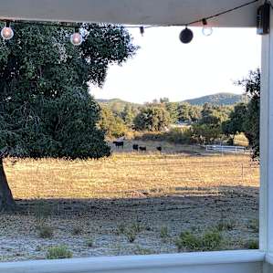 Pasture Paradise Basecamp
