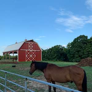 Selby Farm tent sites