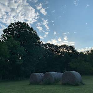 Selby Farm tent sites