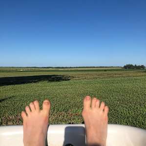 Imagine your toes rooted in those trees and breathe