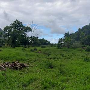 Waipio Valley of the Kings Camp Out