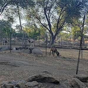 Full Circle Farm