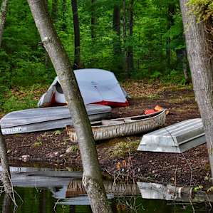 View of the shoreline camping space