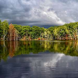 The Lakefront